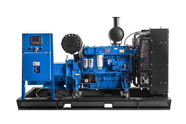 湖南省畜牧獸醫(yī)研究所200KW濰柴原裝全自動發(fā)電機組