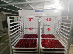 辣椒，秋葵烘干機(jī)